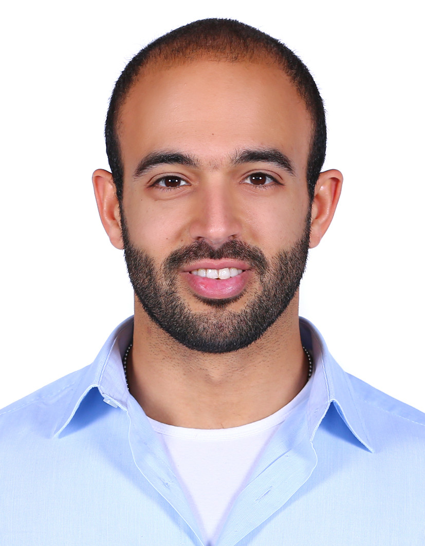 Hany Medhat Ahmed Farid