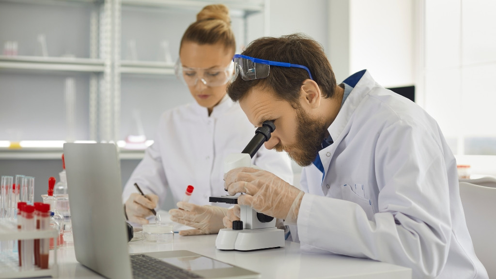 Best Platforms to Hire Research Experts Online